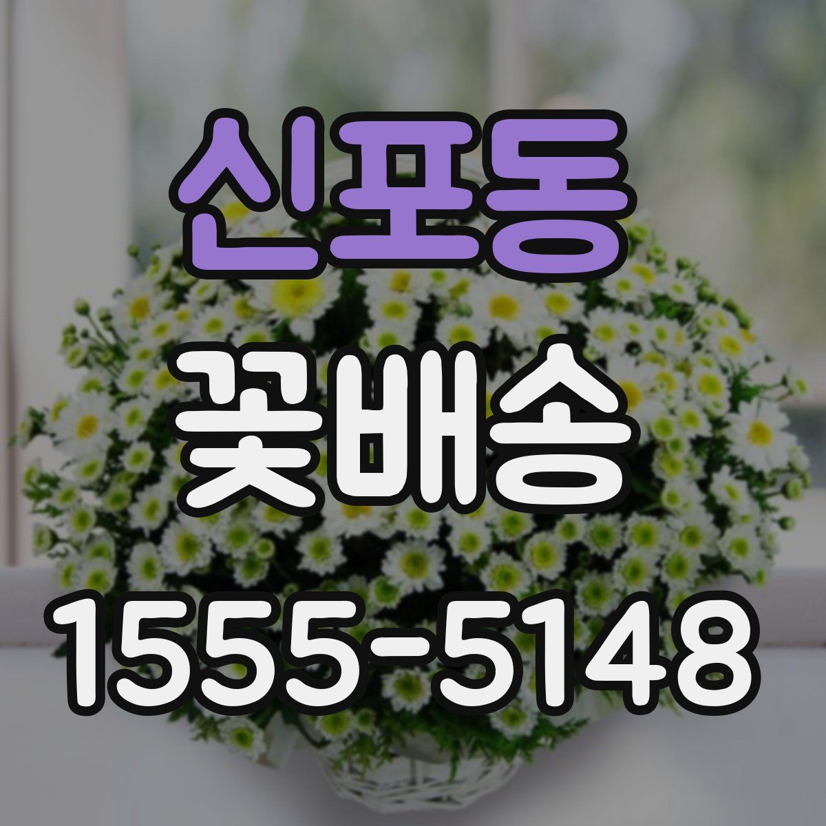 신포동 꽃배송