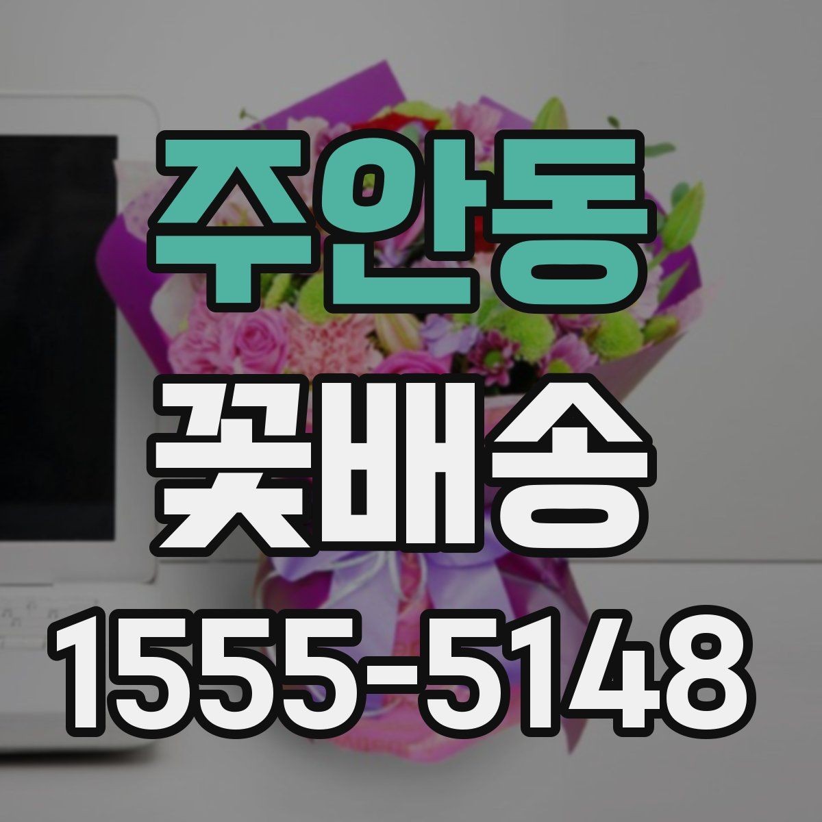 주안동 꽃배송 가격과 선택 기준 정리