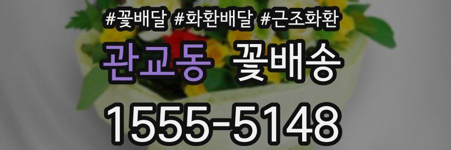 관교동 꽃배송