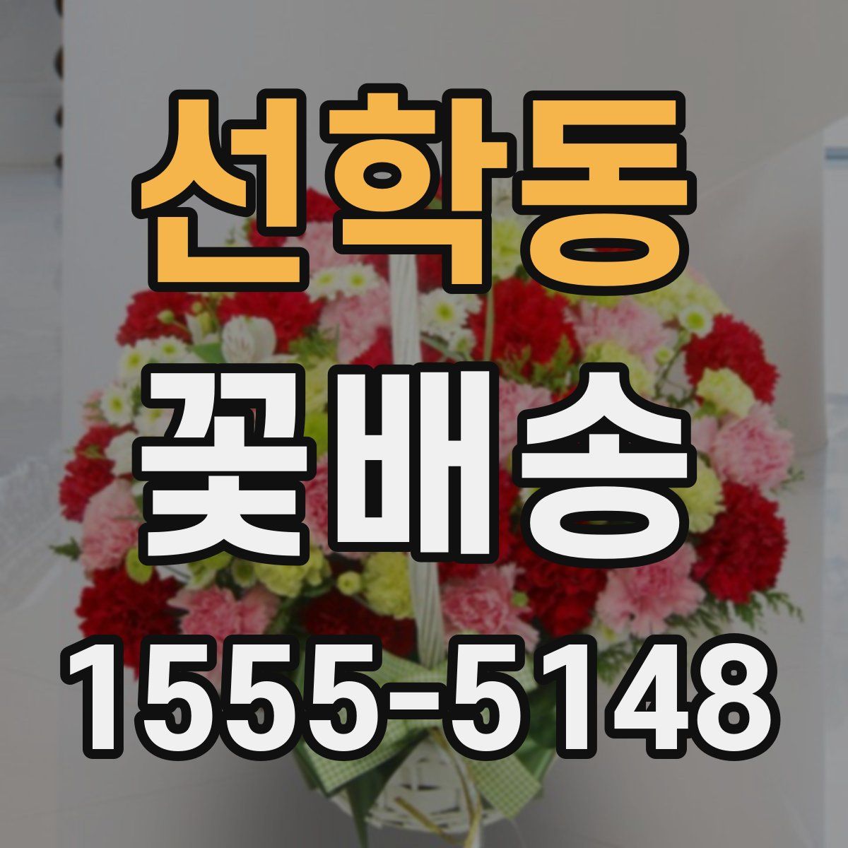 선학동 꽃배송
