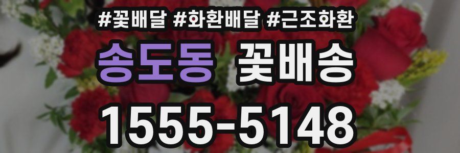 송도동 꽃배송