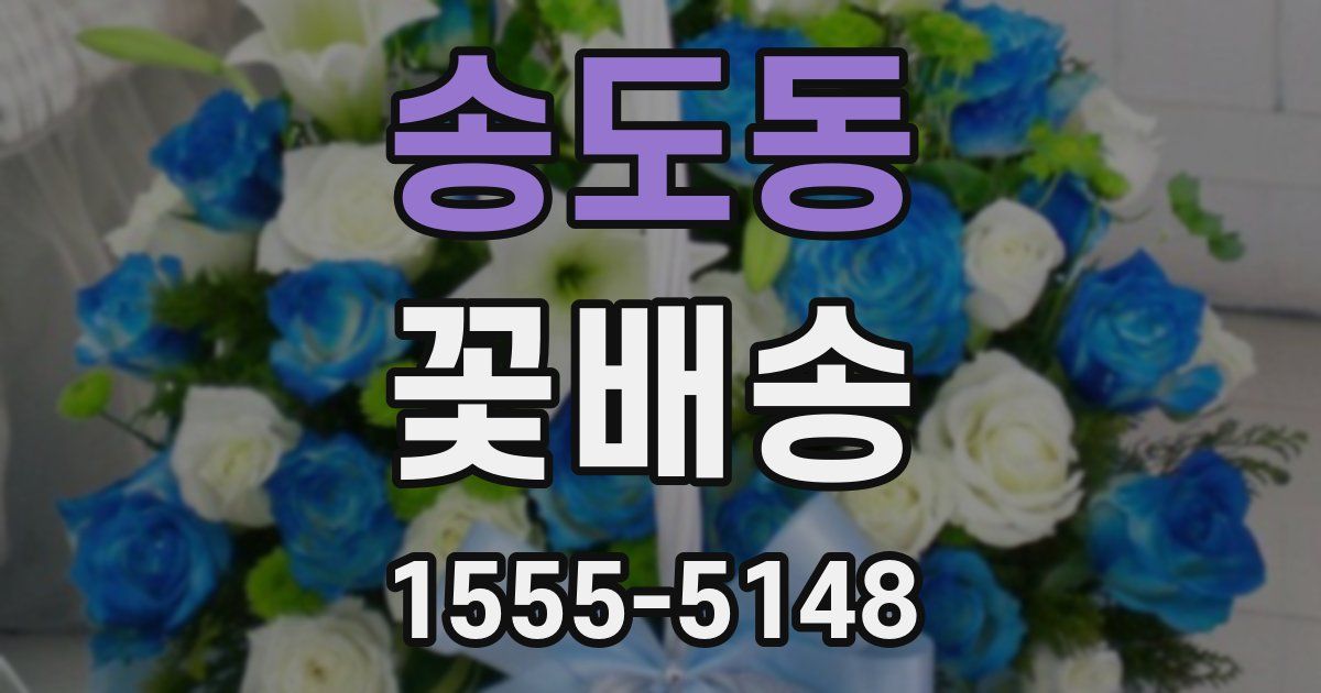 송도동 꽃배송