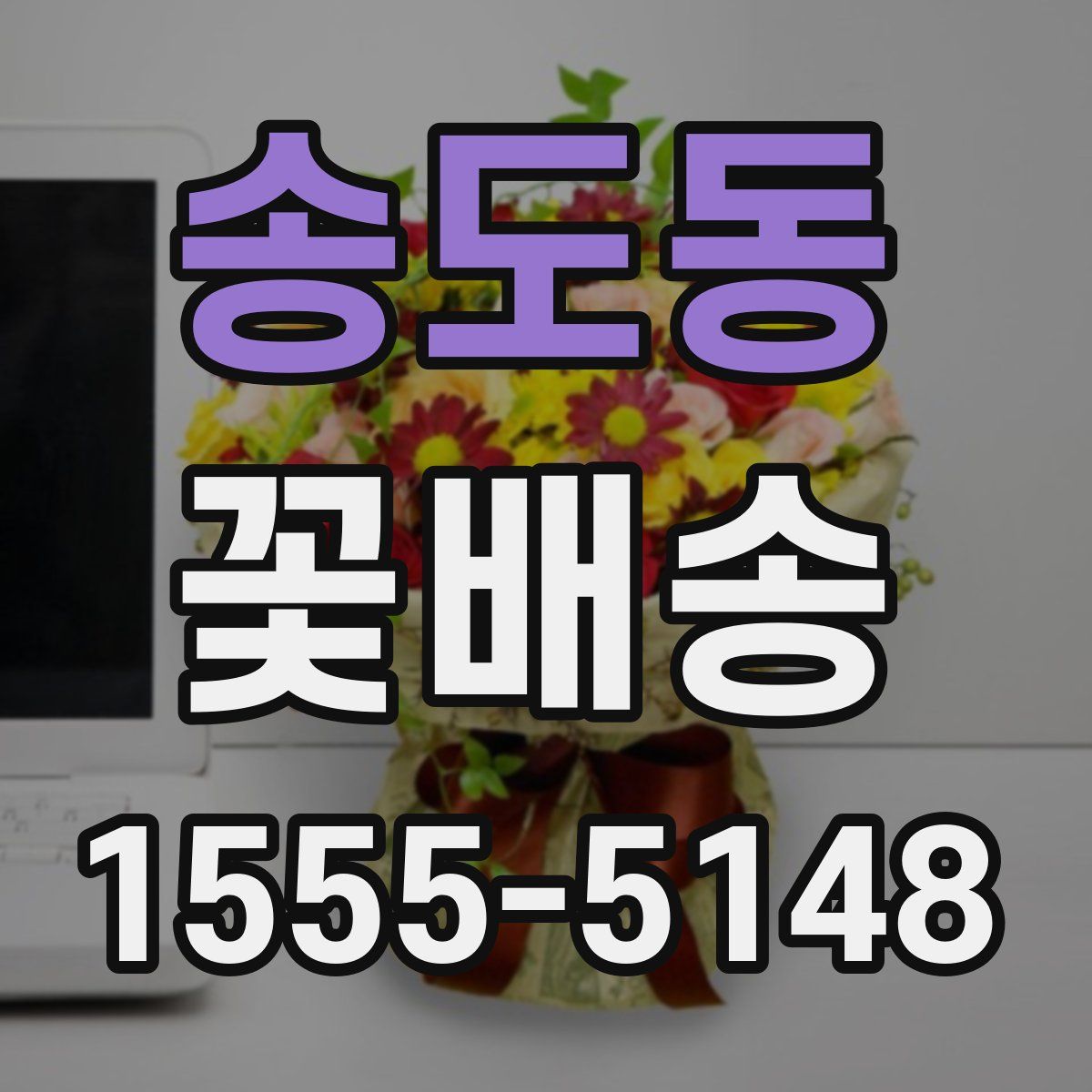 송도동 꽃배송