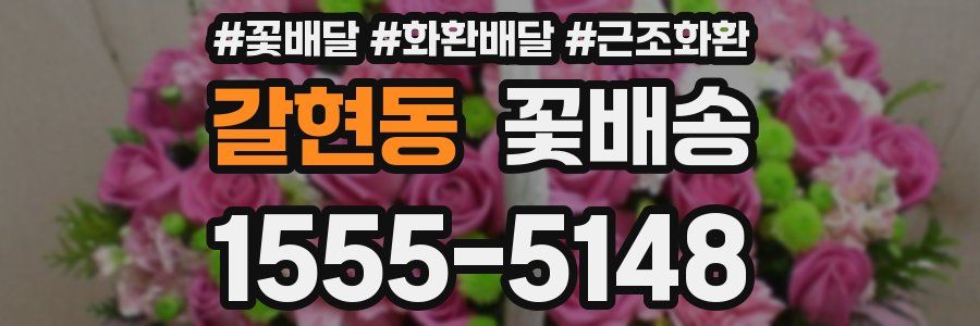 갈현동 꽃배송
