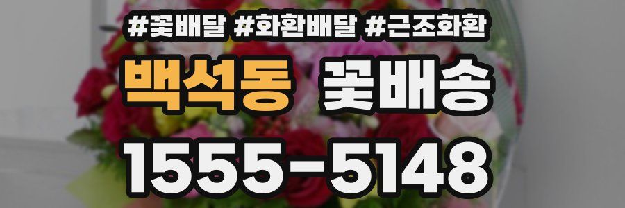 백석동 꽃배송