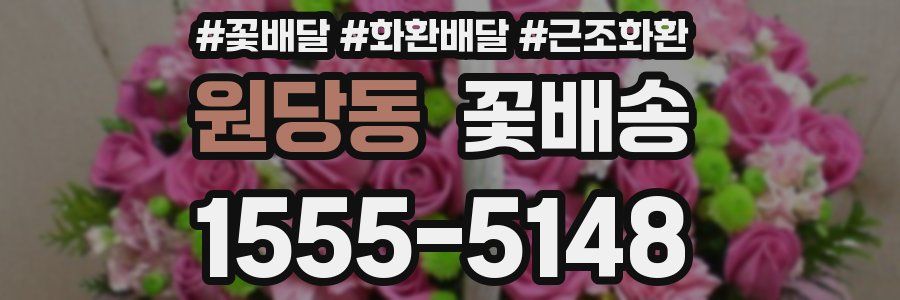 원당동 꽃배송