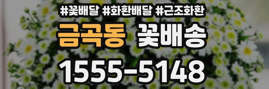 금곡동 꽃배송