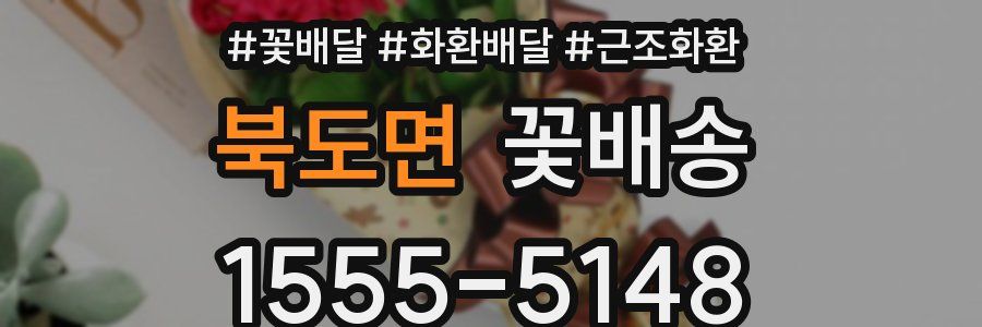 북도면 꽃배송
