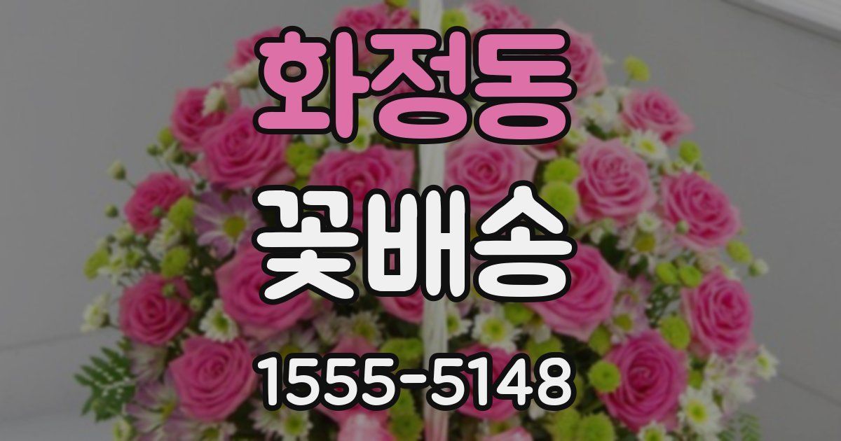 화정동 꽃배송