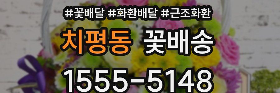 치평동 꽃배송