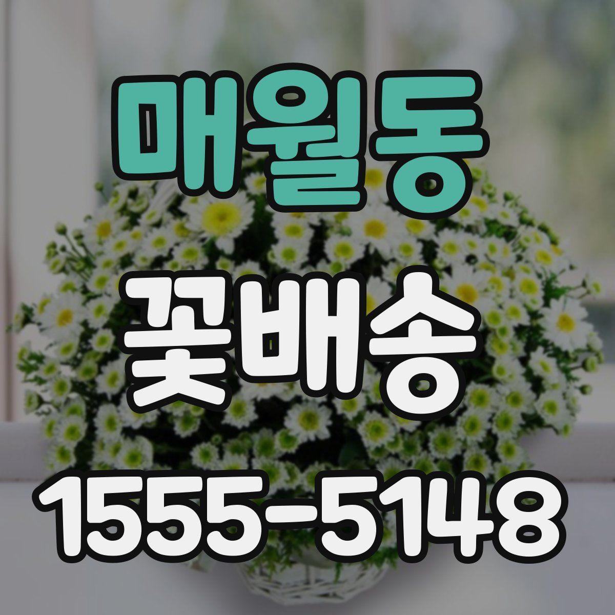 매월동 꽃배송