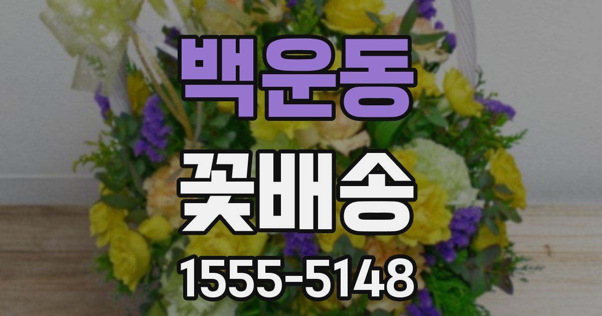 백운동 꽃배송
