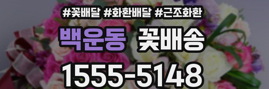 백운동 꽃배송