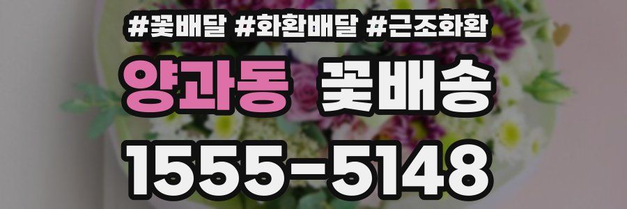 양과동 꽃배송