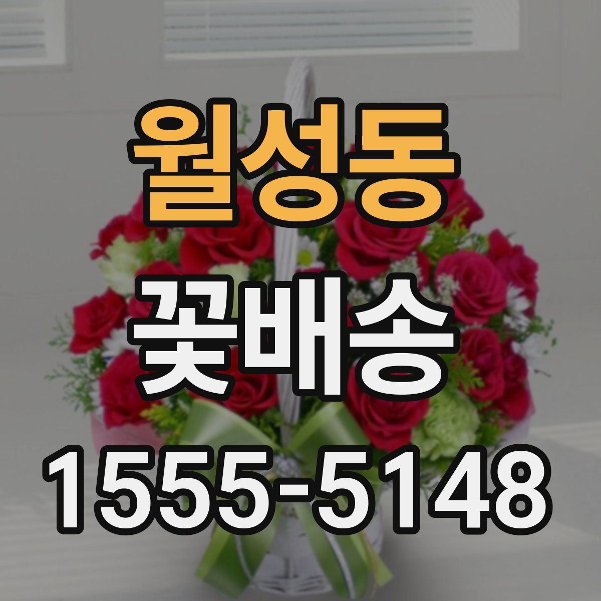 월성동 꽃배송