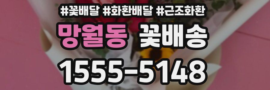 망월동 꽃배송