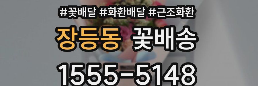 장등동 꽃배송