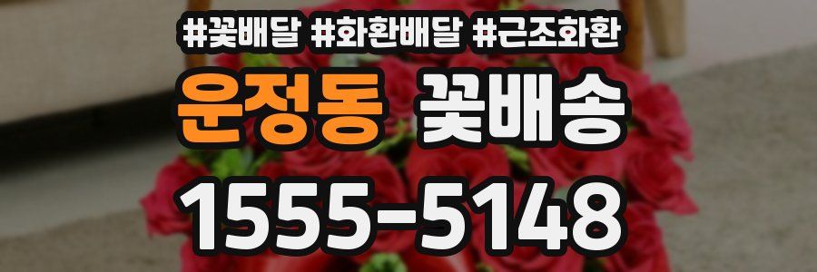 운정동 꽃배송