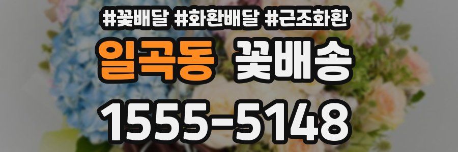 일곡동 꽃배송