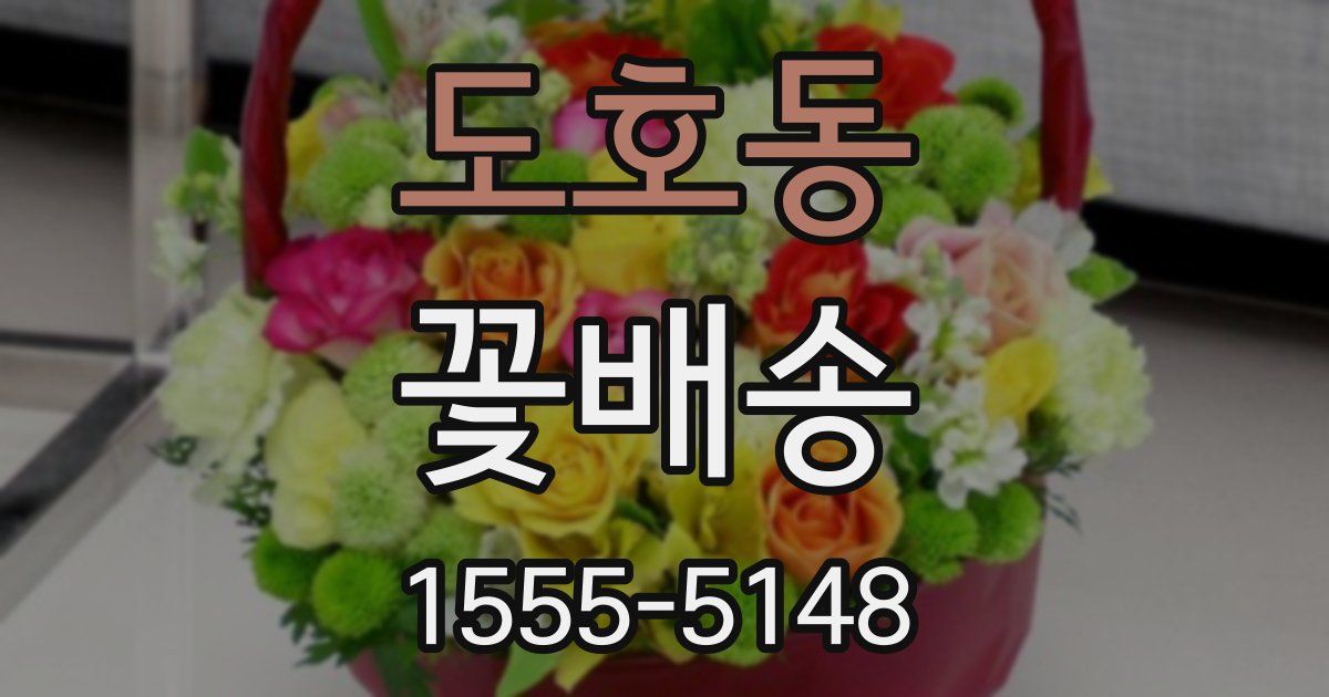 도호동 꽃배송