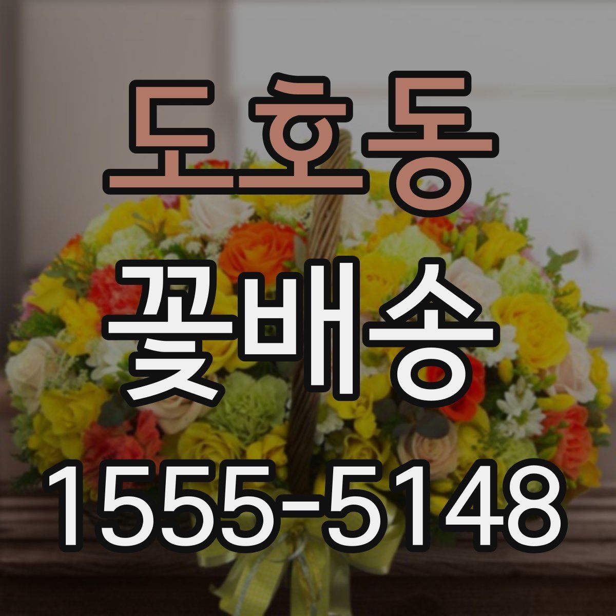 도호동 꽃배송