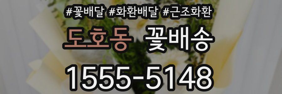 도호동 꽃배송