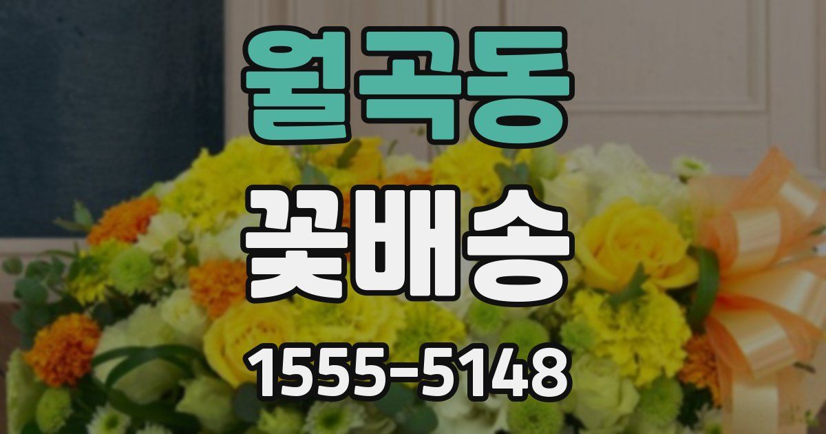 월곡동 꽃배송
