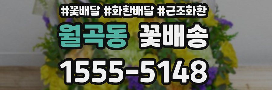 월곡동 꽃배송