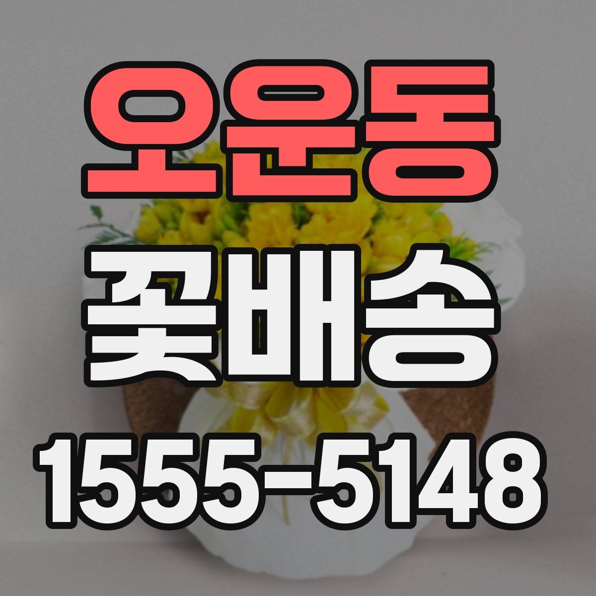 오운동 꽃배송