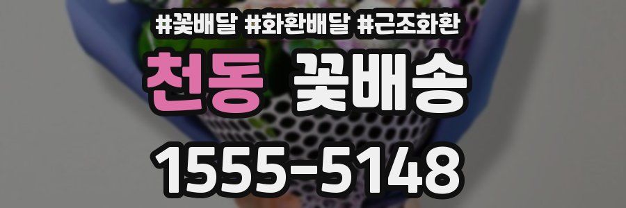 천동 꽃배송