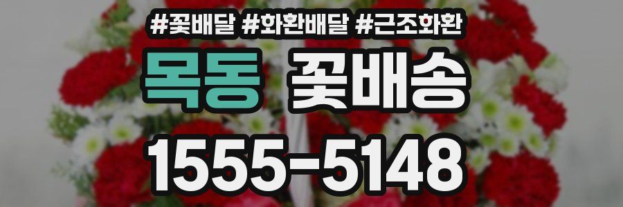 목동 꽃배송