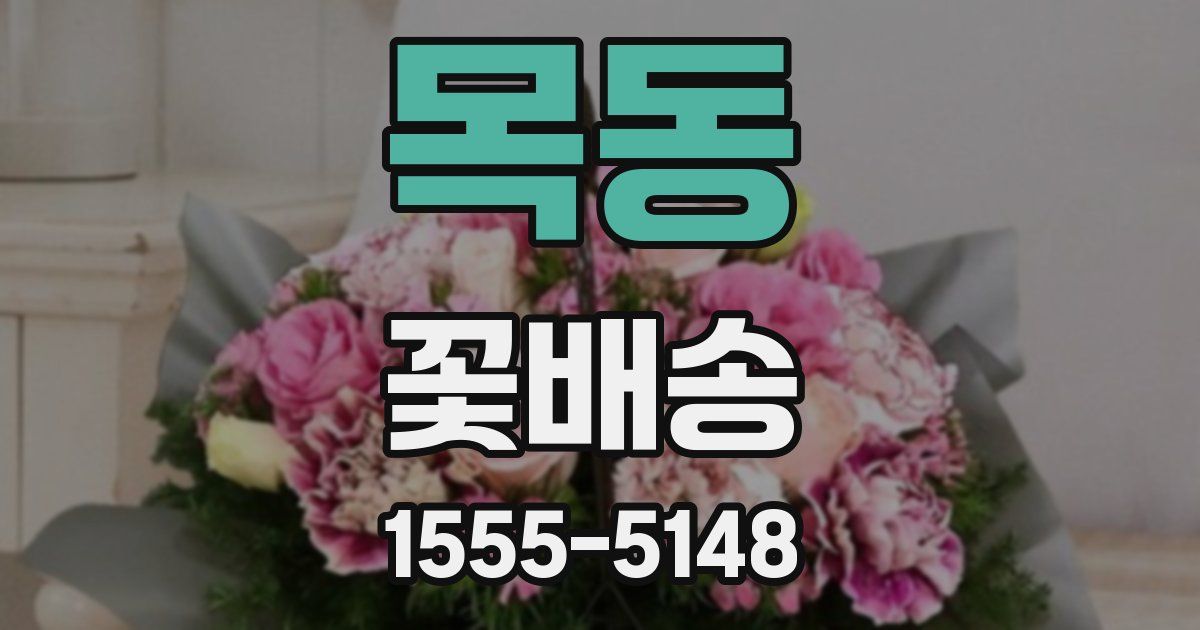 목동 꽃배송