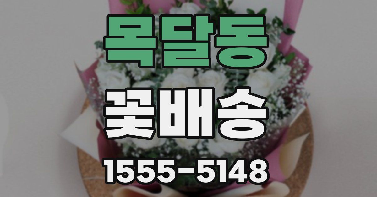 목달동 꽃배송