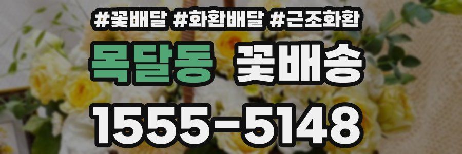 목달동 꽃배송