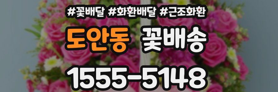도안동 꽃배송