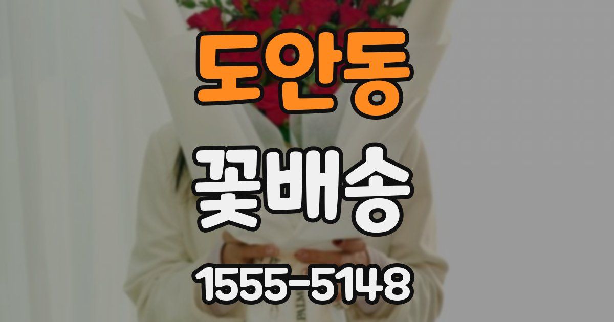 도안동 꽃배송