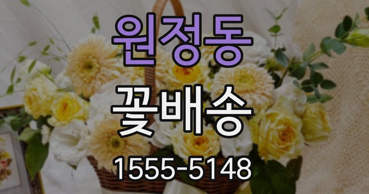 원정동 꽃배송
