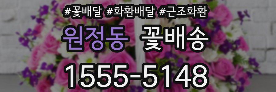 원정동 꽃배송