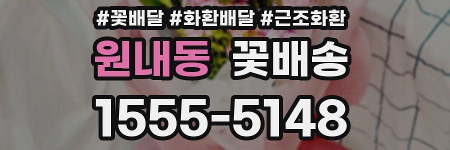 원내동 꽃배송