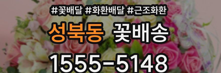 성북동 꽃배송