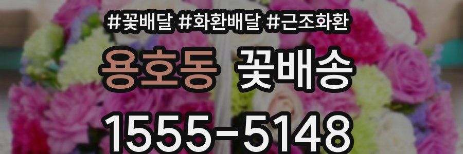 용호동 꽃배송