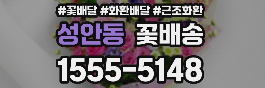 성안동 꽃배송