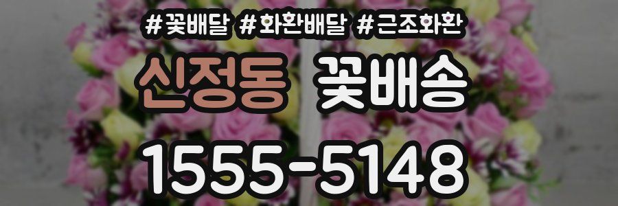 신정동 꽃배송