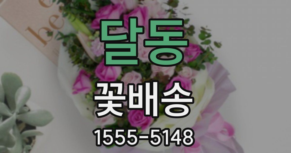 달동 꽃배송