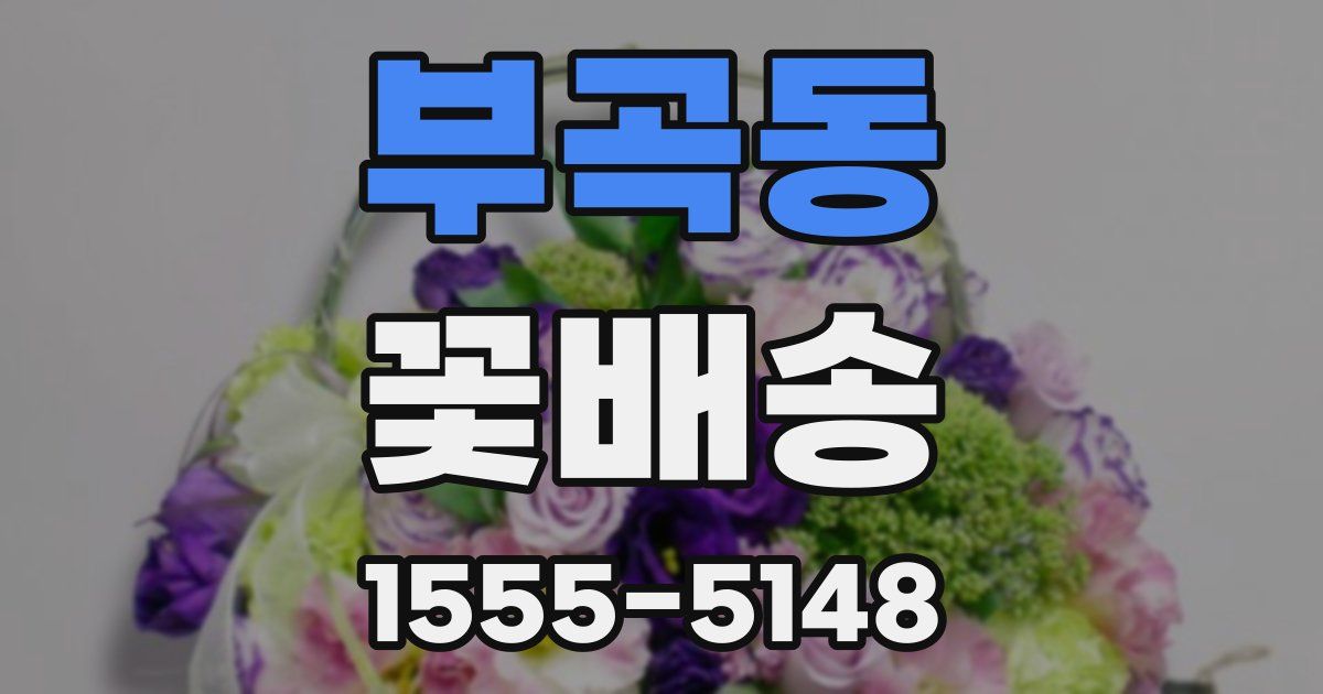 부곡동 꽃배송