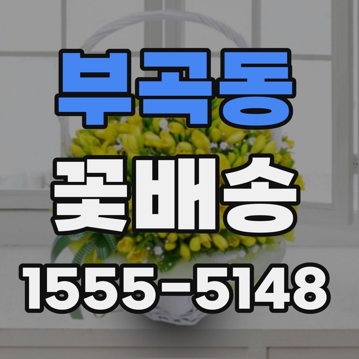 부곡동 꽃배송