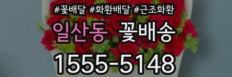 일산동 꽃배송