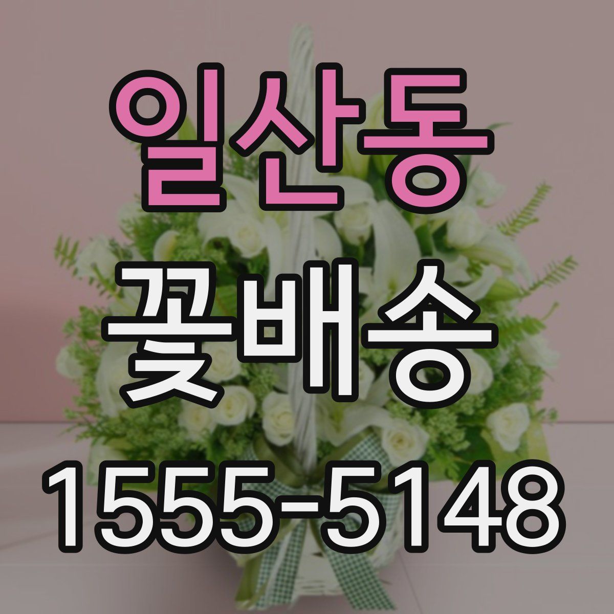 일산동 꽃배송