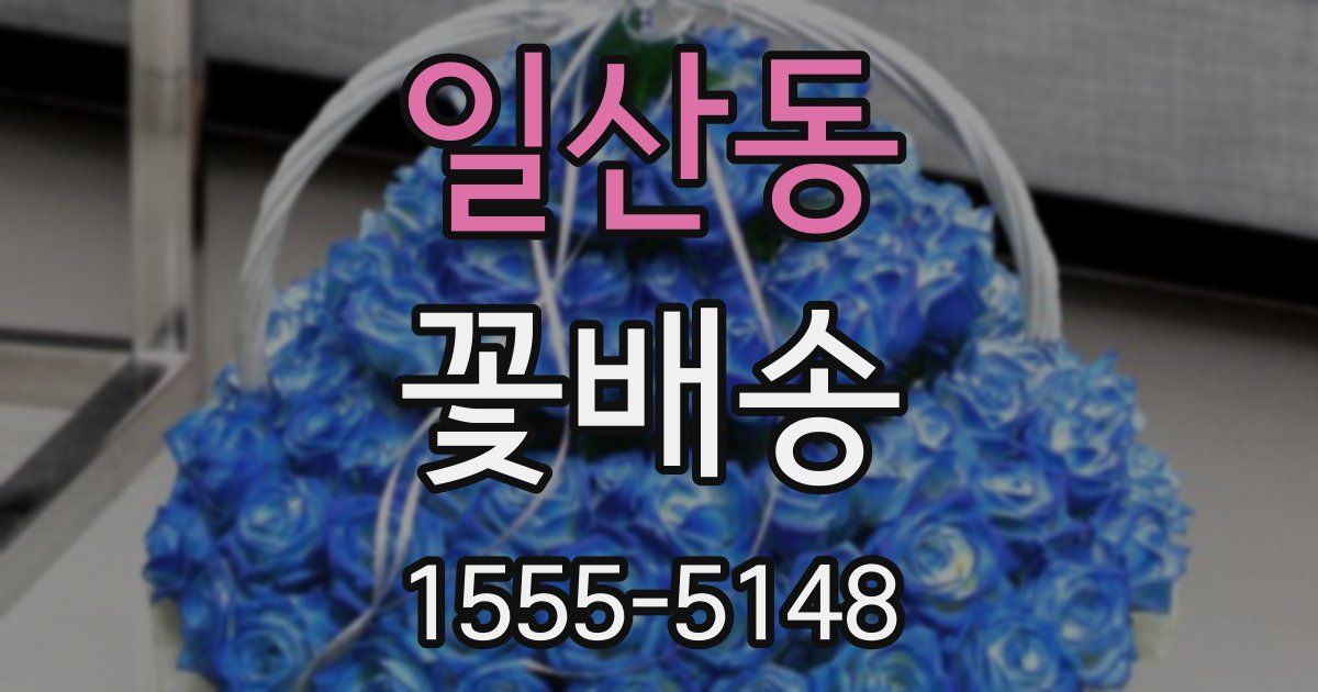 일산동 꽃배송