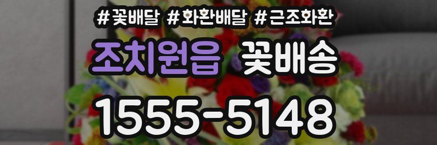 조치원읍 꽃배송